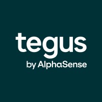 tegusinc_logo